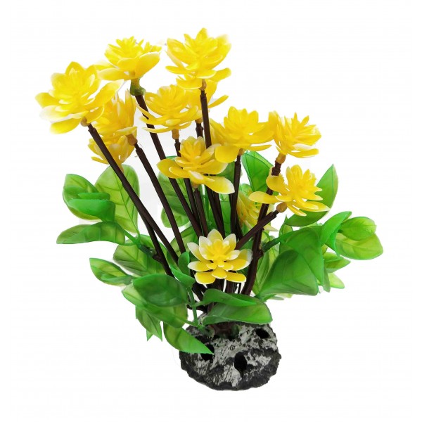 ΔΙΑΚΟΣΜΗΤΙΚΟ ΦΥΤΟ ΕΝΥΔΡΕΙΟΥ